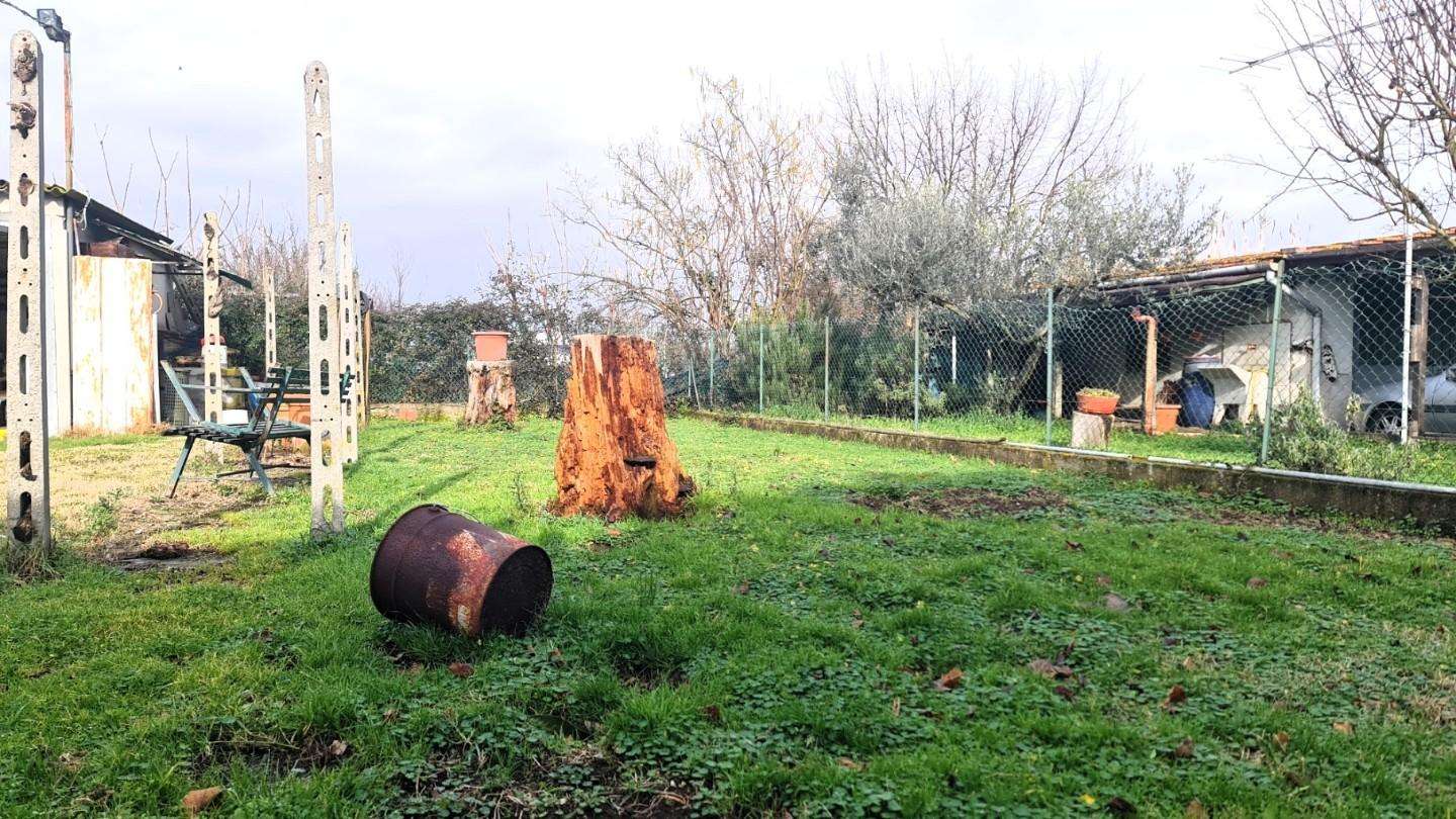  - foto 6