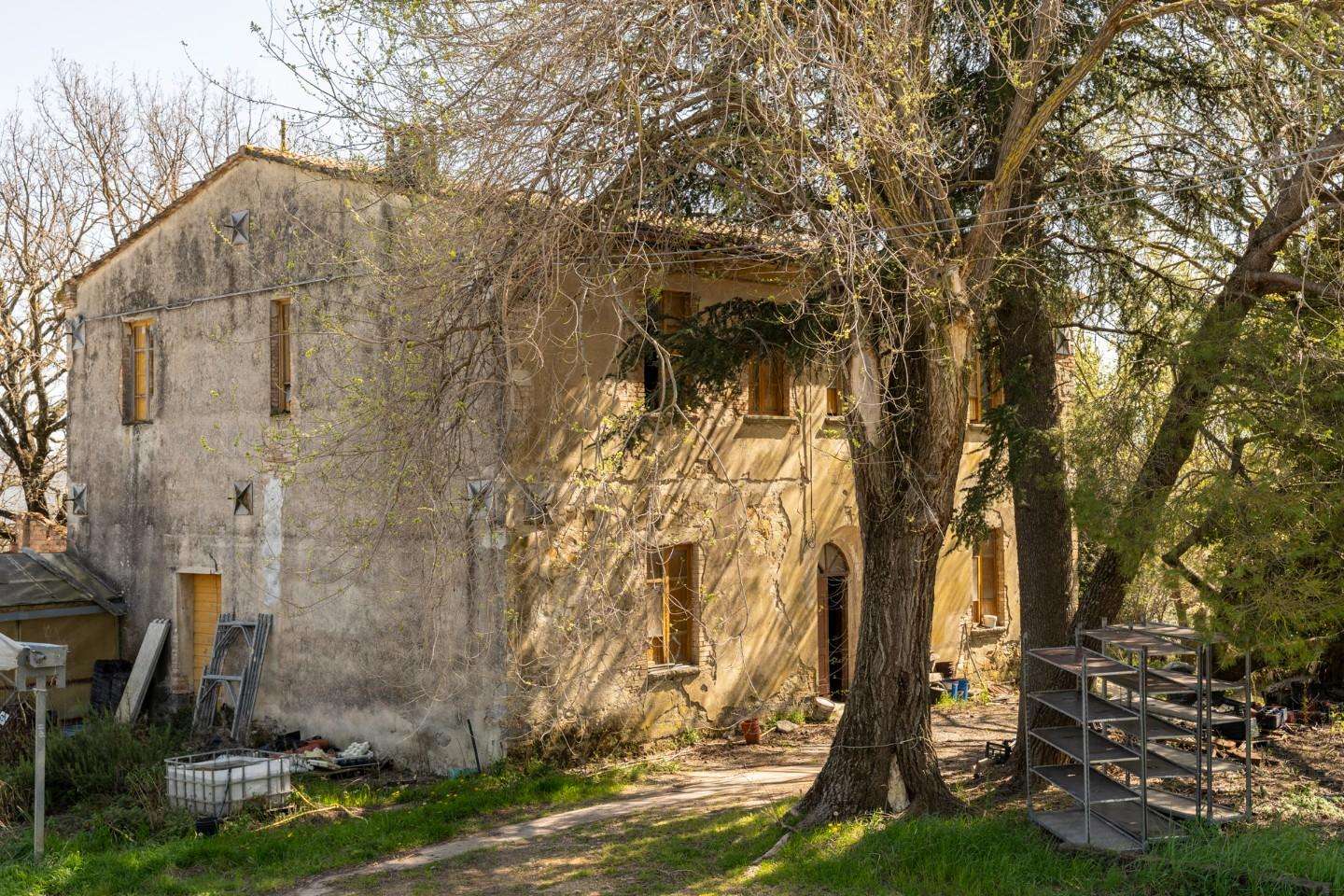 Rustico Sassibianchi,, Chianni