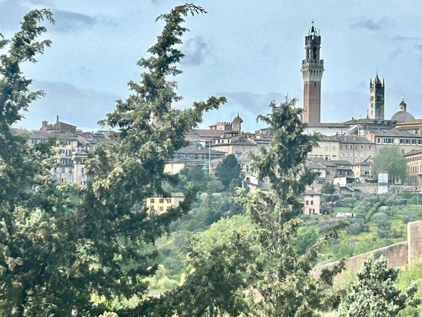 Appartamento Via Duccio di Boninsegna,  53100, Siena