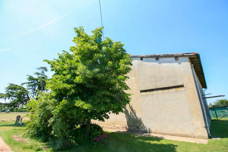  - foto 7