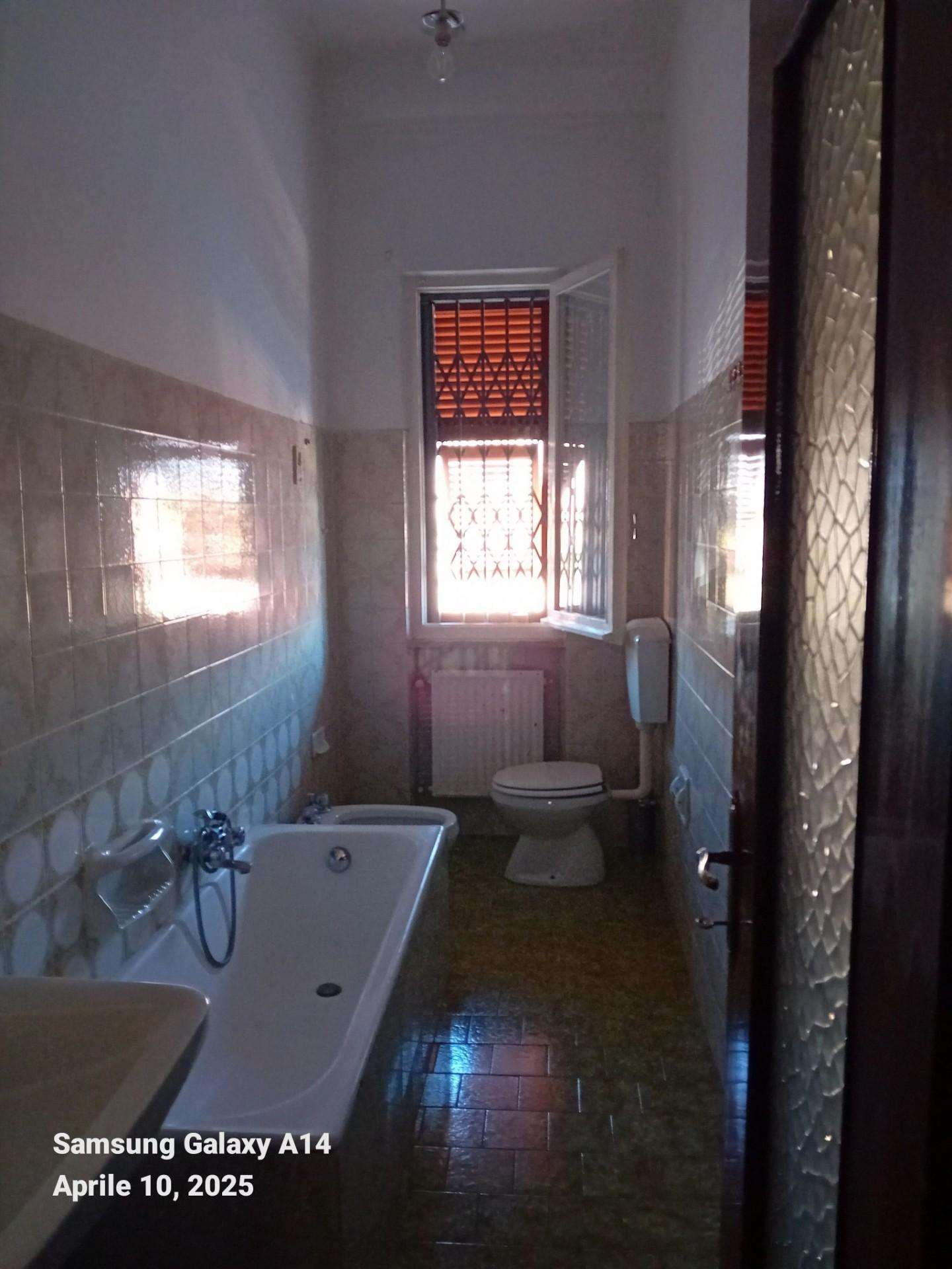  - foto 15