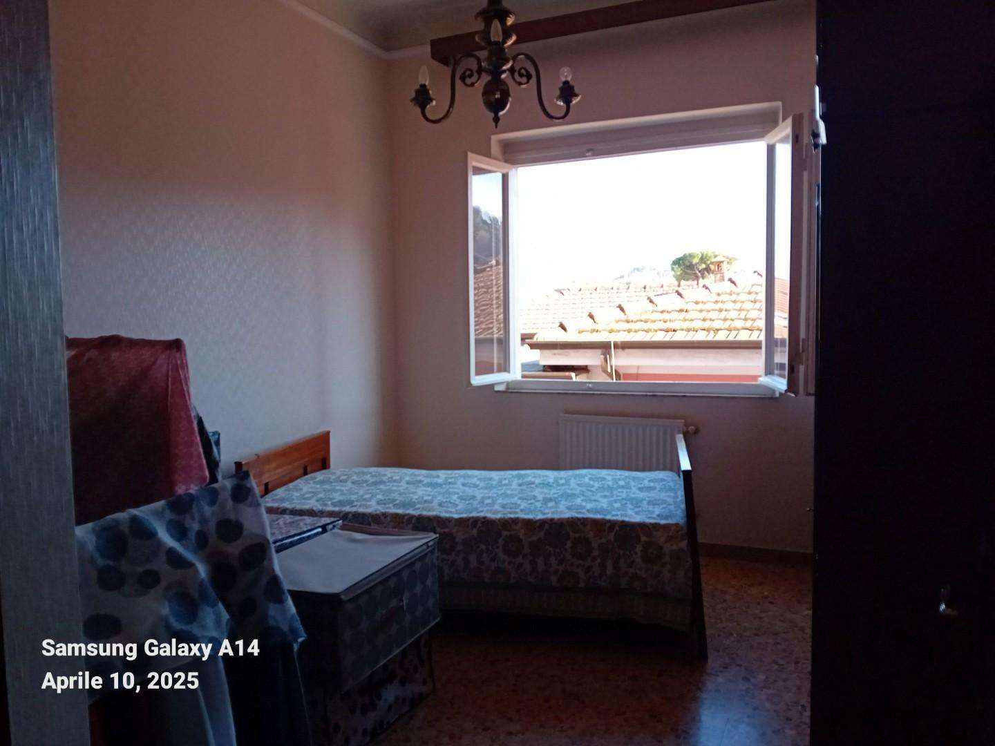  - foto 8