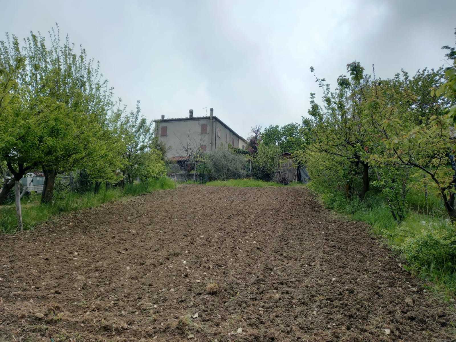  - foto 3