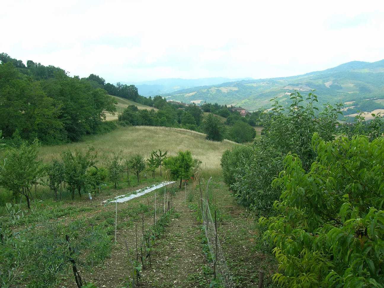  - foto 7