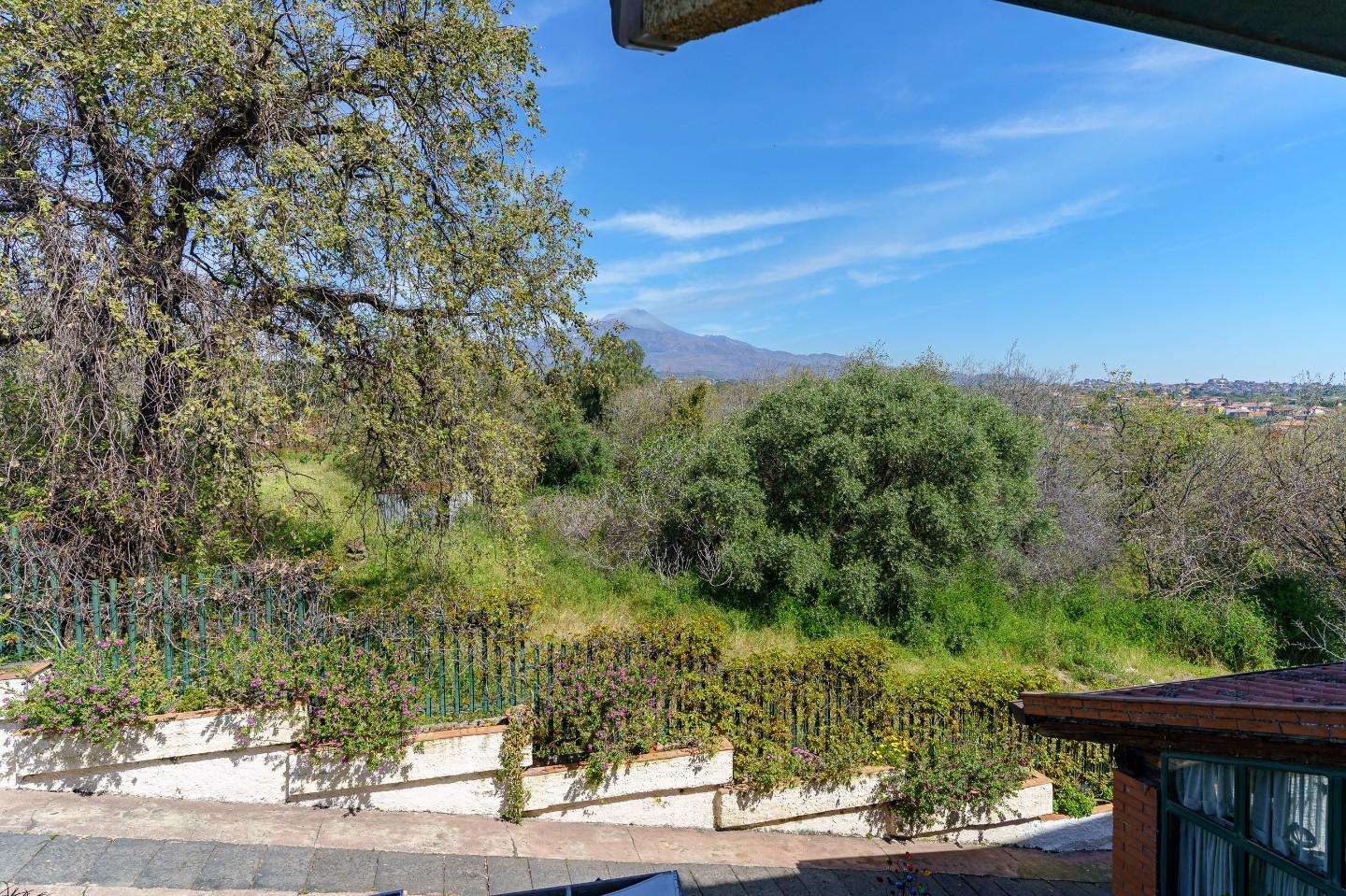  - foto 37