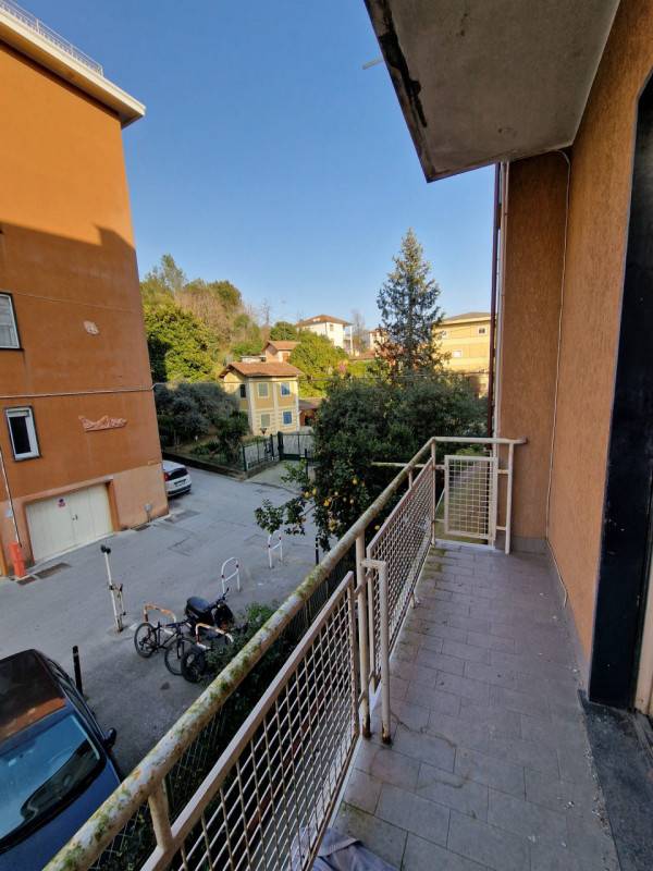 immagine annuncio 5 di 8