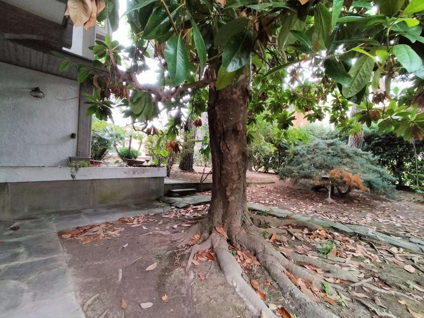 - foto 11