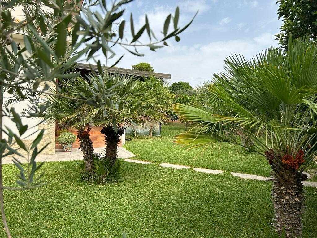  - foto 11