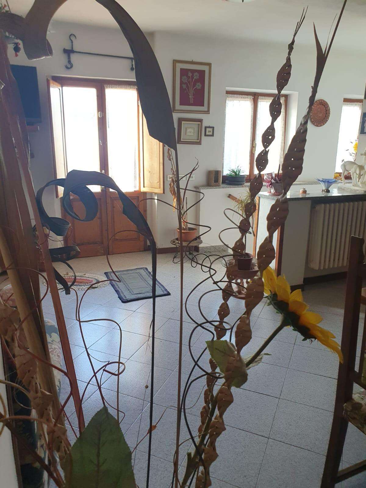  - foto 4