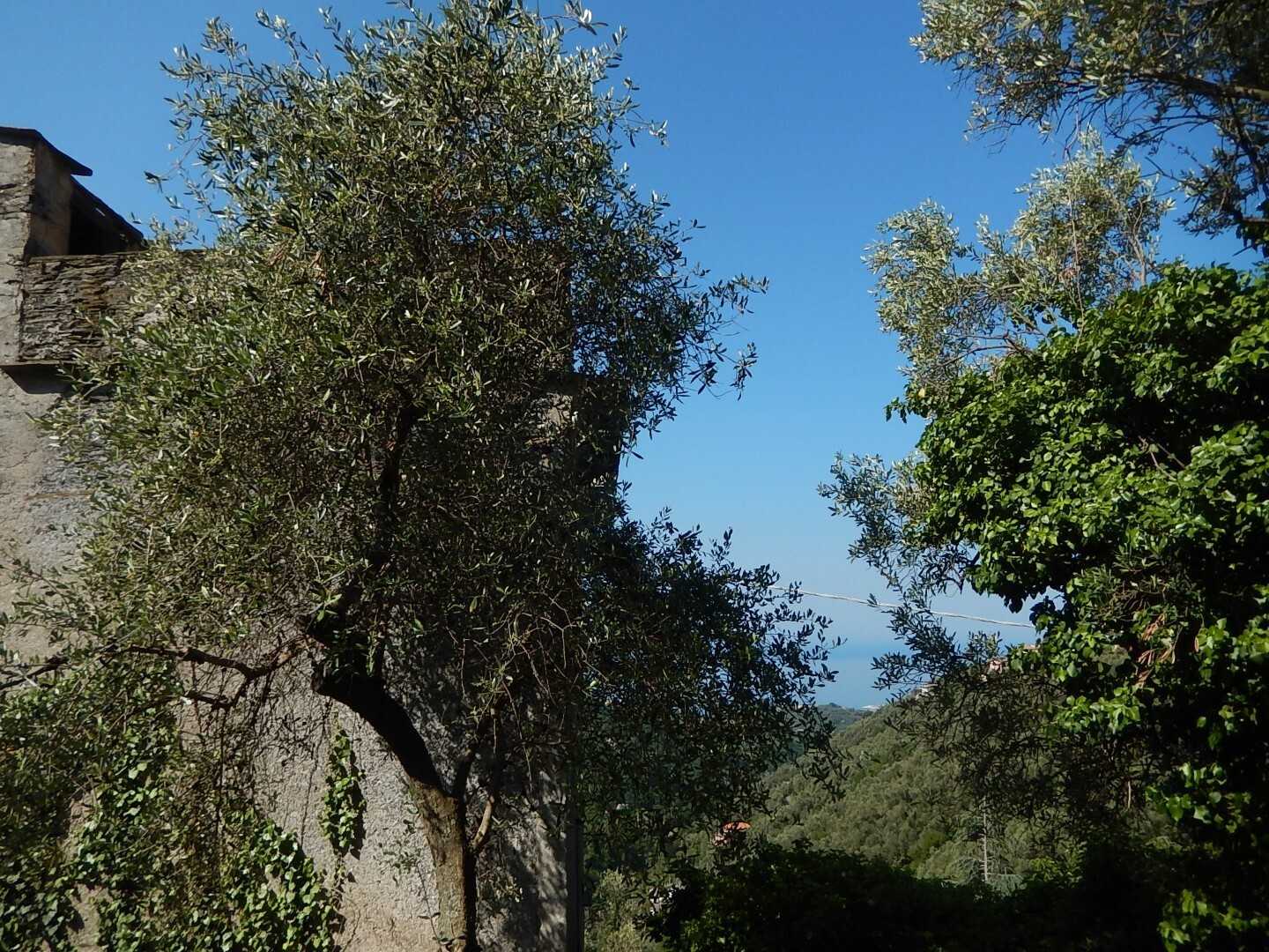  - foto 9