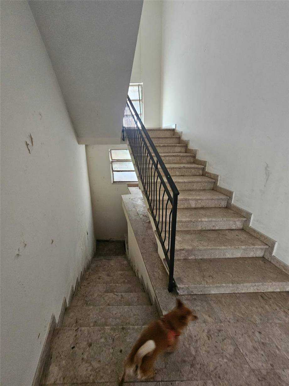  - foto 17