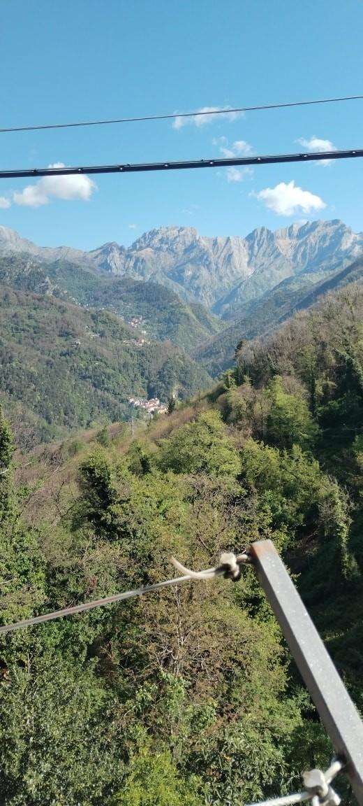  - foto 5