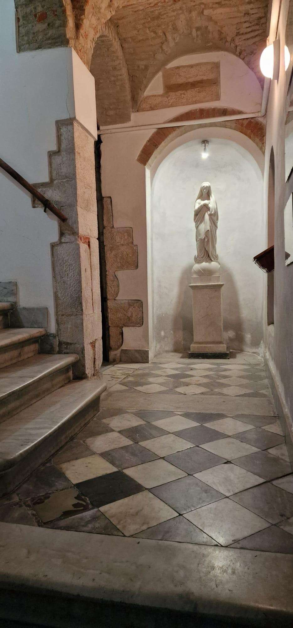 immagine annuncio 0 di 15