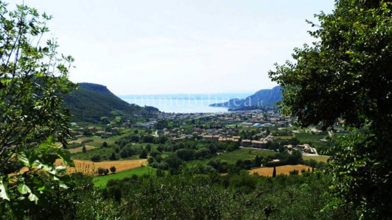 immagine annuncio 4 di 6