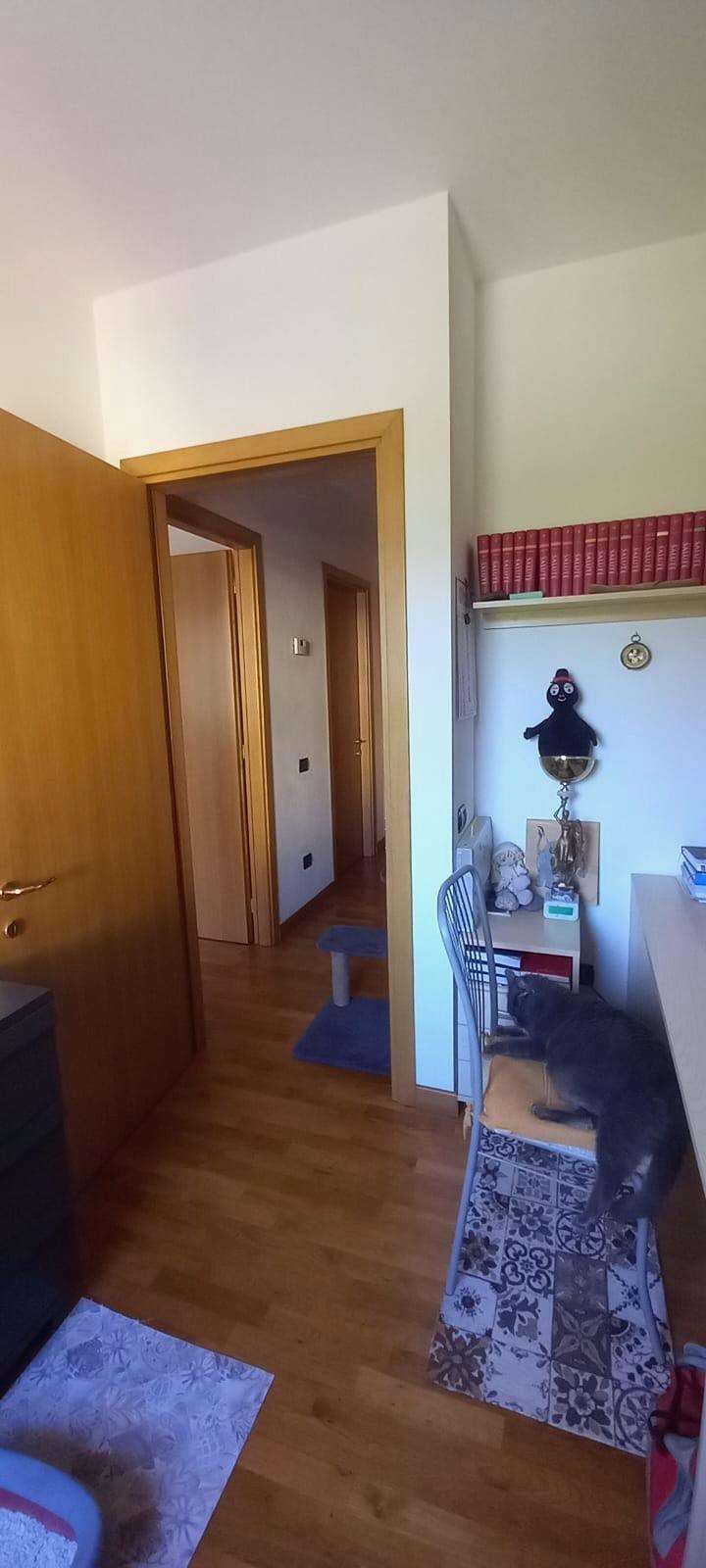 immagine annuncio 6 di 13