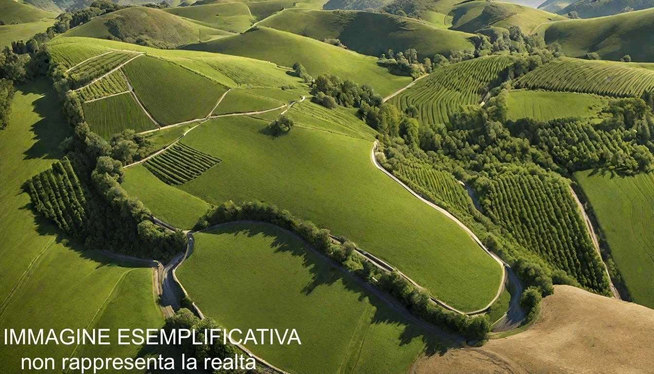  - foto 17