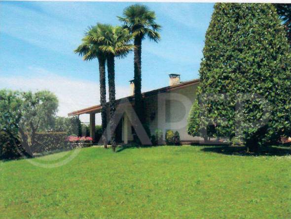immagine annuncio 6 di 7