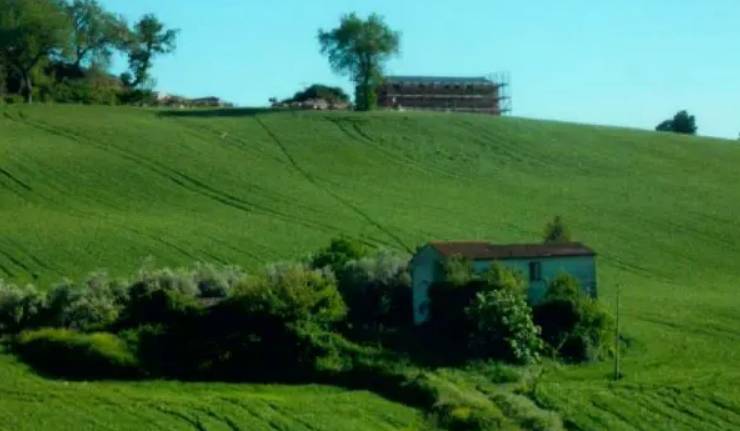 immagine annuncio 3 di 10