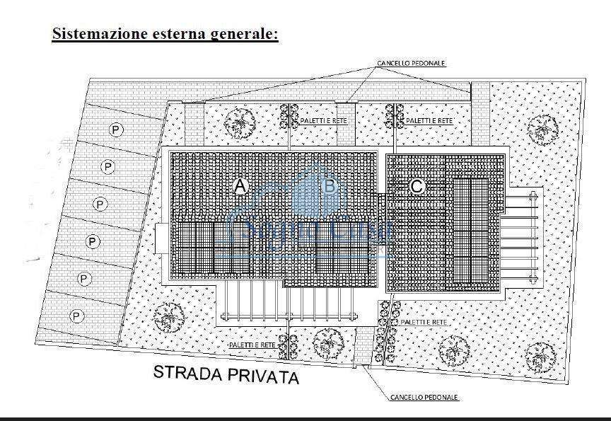  - foto 13