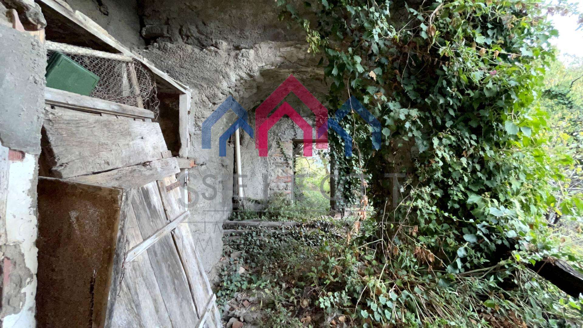  - foto 65