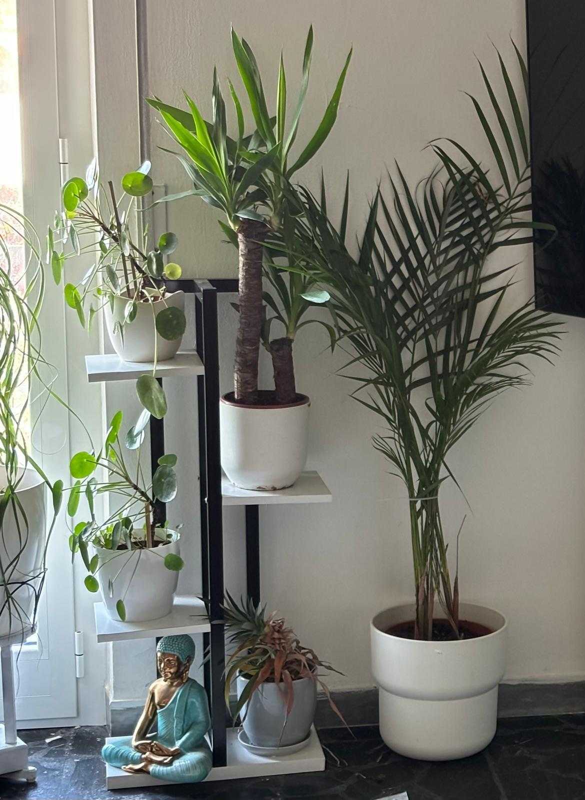  - foto 26