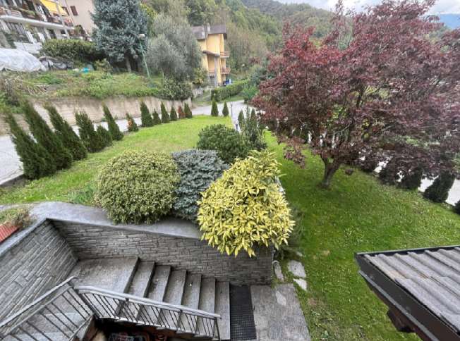 immagine annuncio 8 di 14