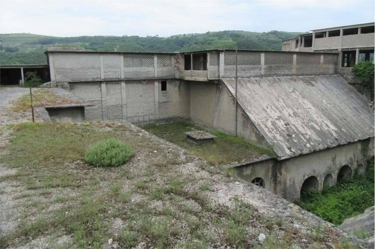 immagine annuncio 1 di 10