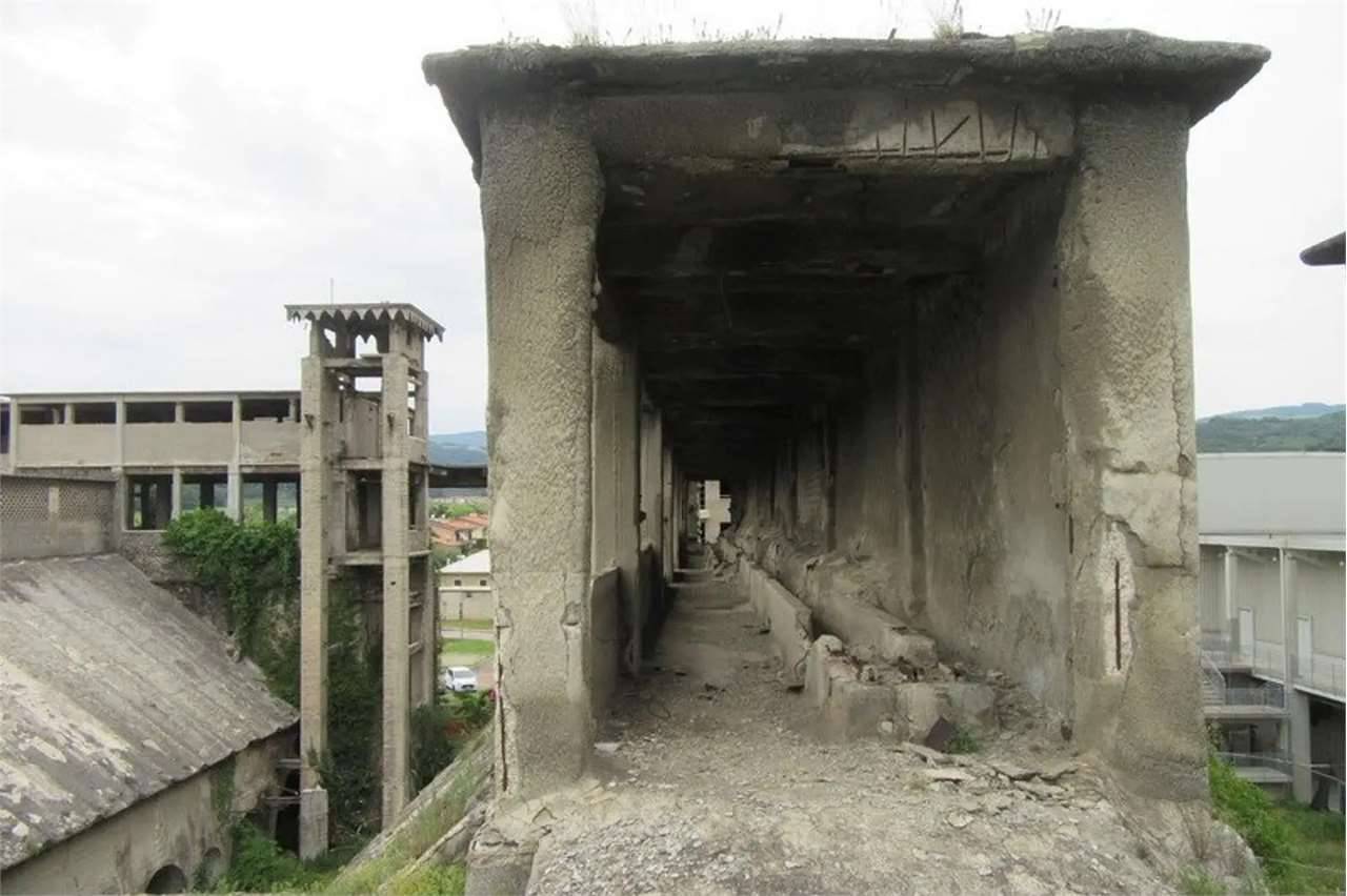 immagine annuncio 5 di 10
