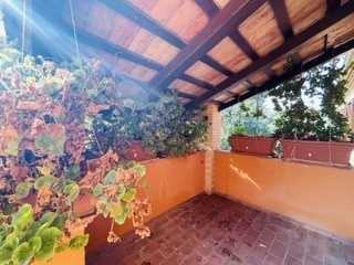  - foto 13