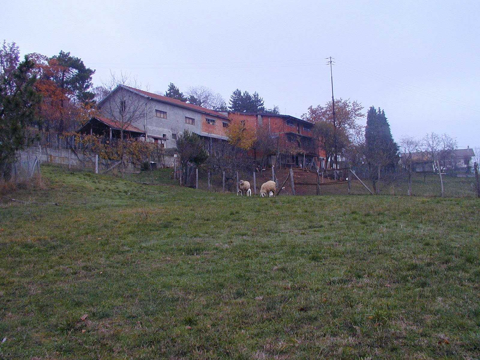 - foto 10