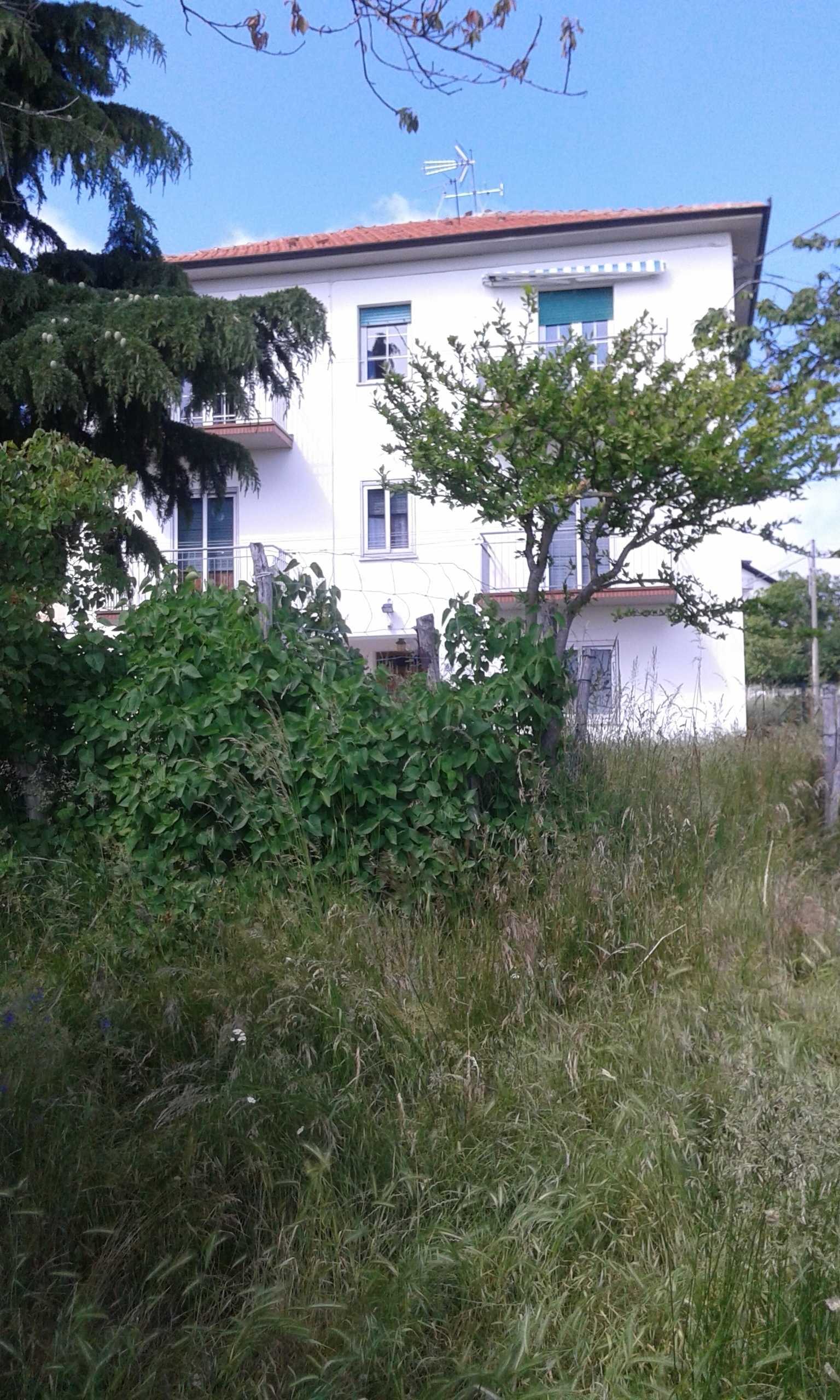  - foto 12
