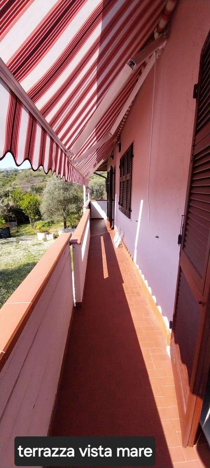  - foto 25