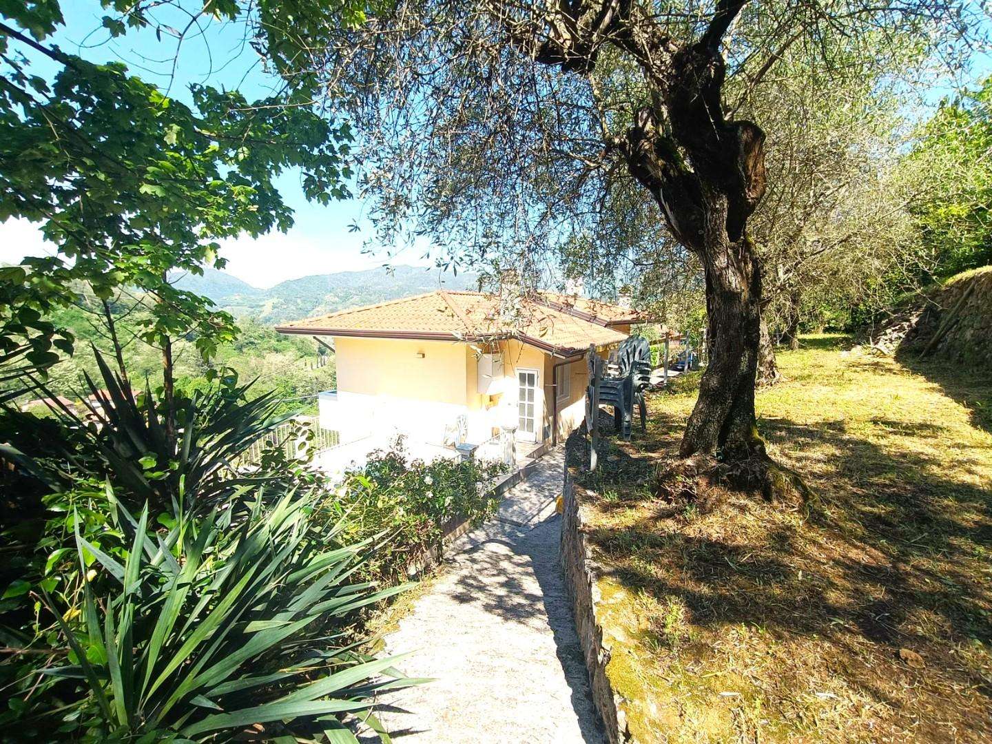  - foto 3
