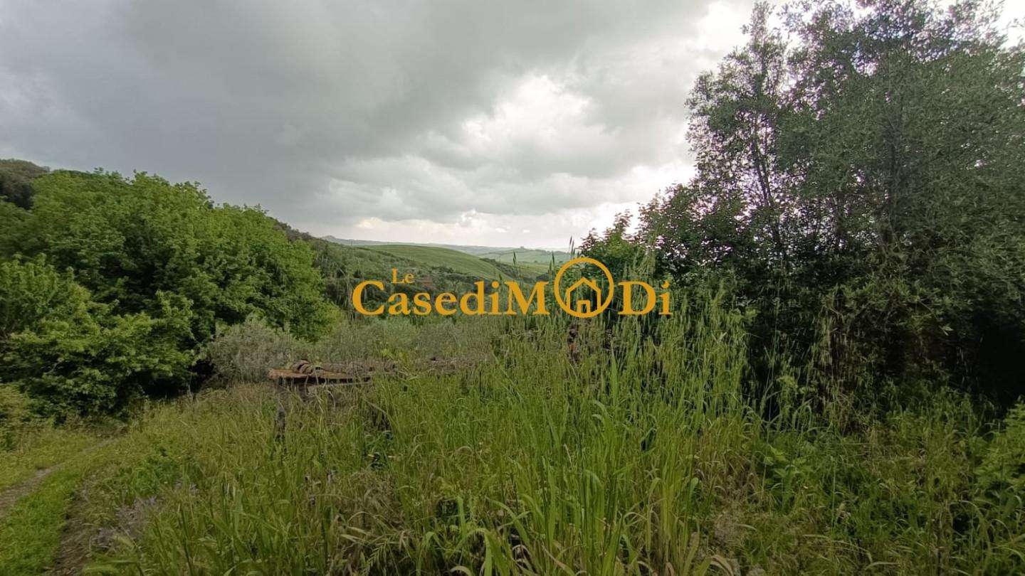  - foto 35