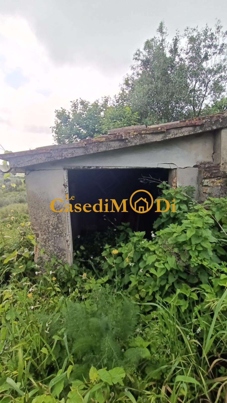  - foto 36