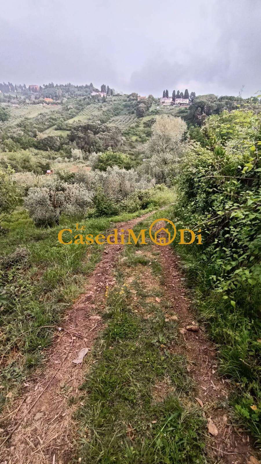  - foto 39