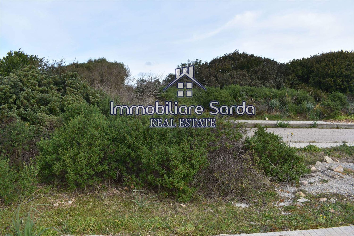 immagine annuncio 11 di 13