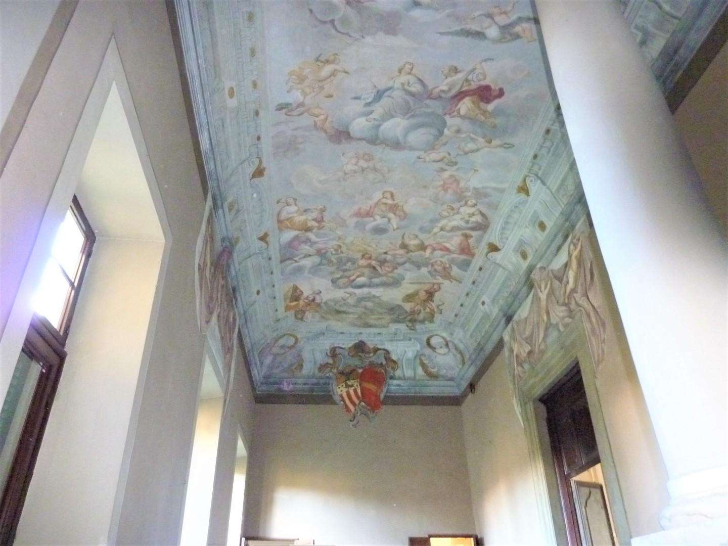  - foto 11