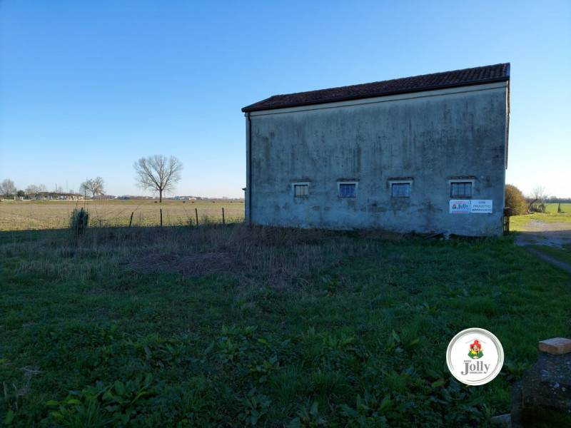 immagine annuncio 3 di 7