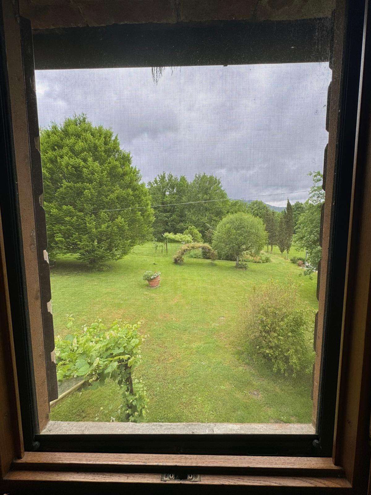  - foto 43