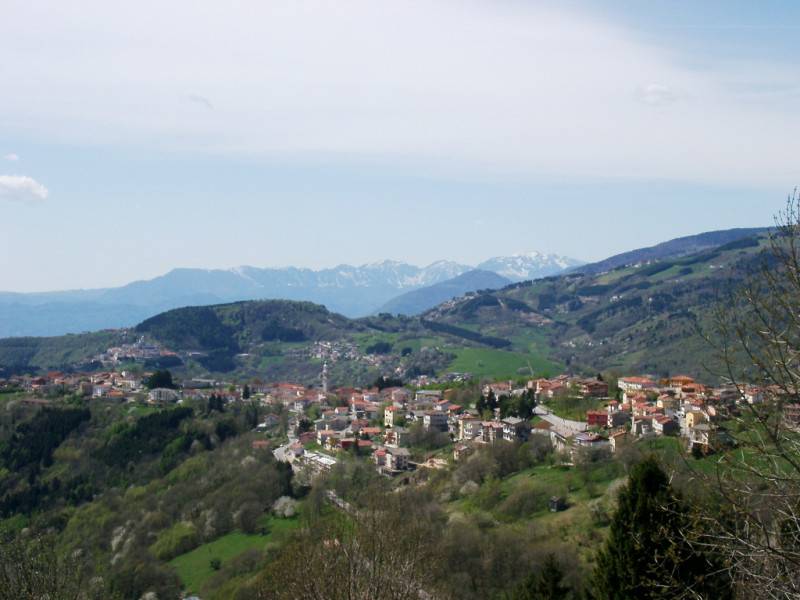 immagine annuncio 1 di 2
