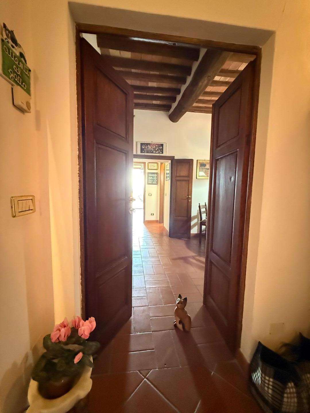  - foto 36