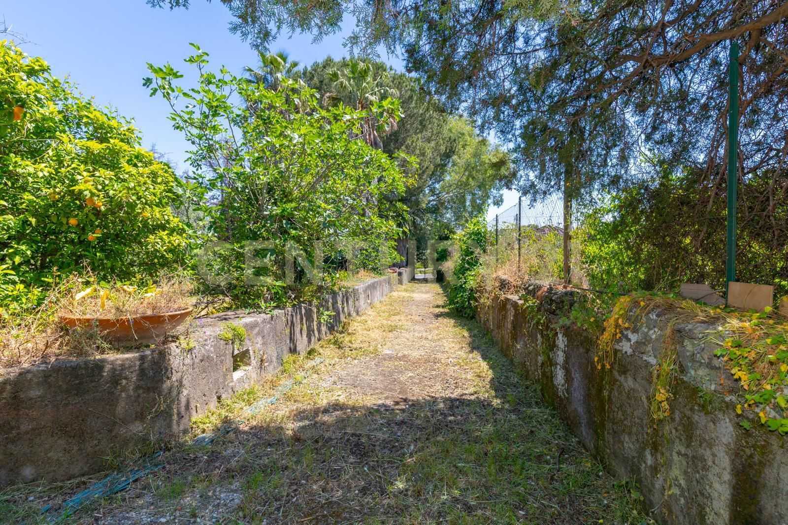  - foto 49