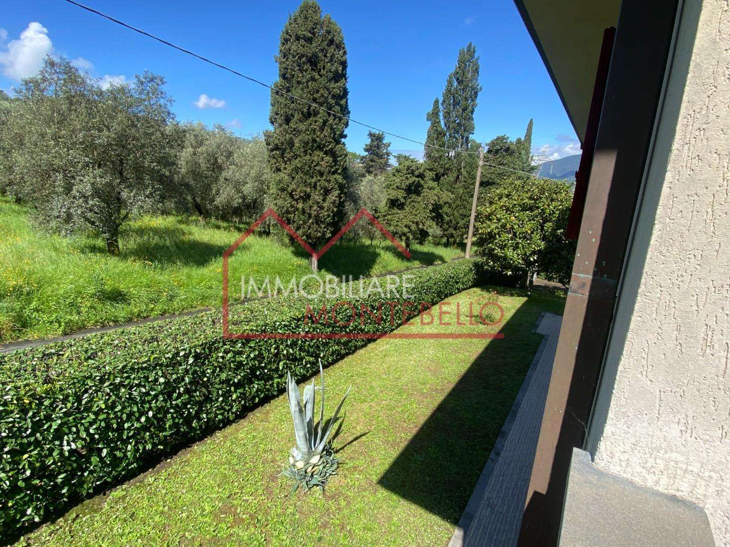 - foto 26