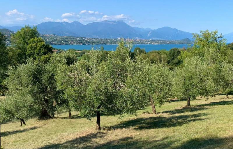 immagine annuncio 7 di 10