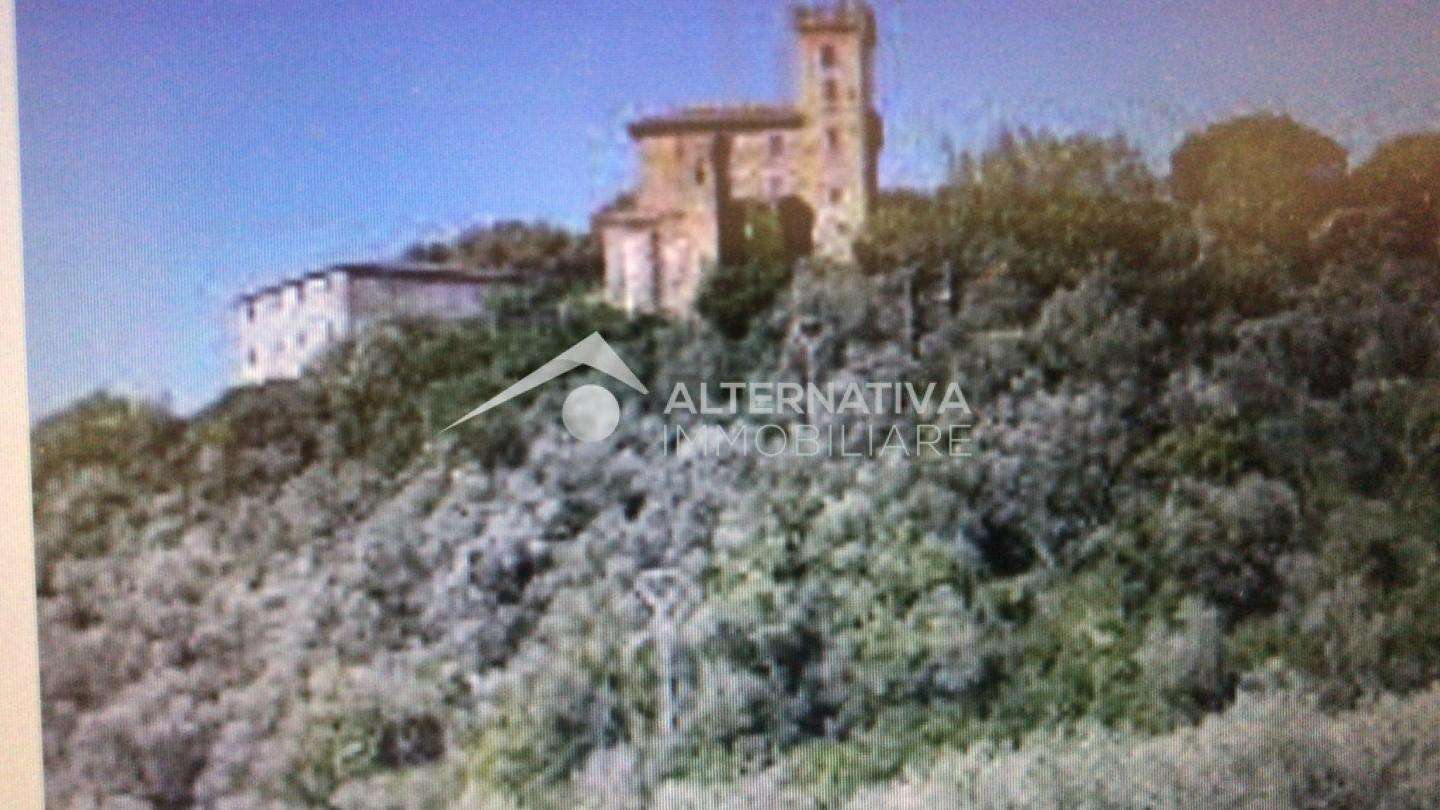 immagine annuncio 3 di 13