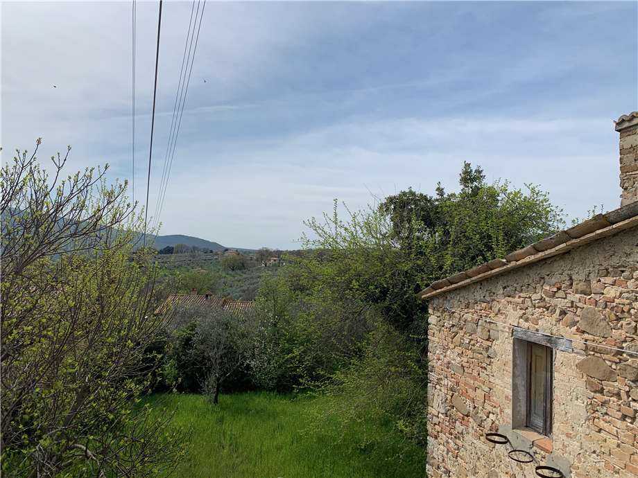  - foto 23