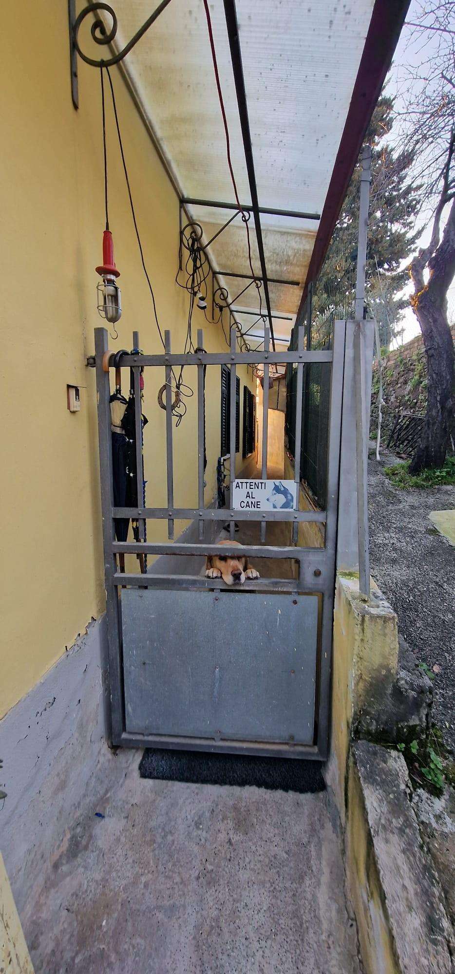  - foto 8