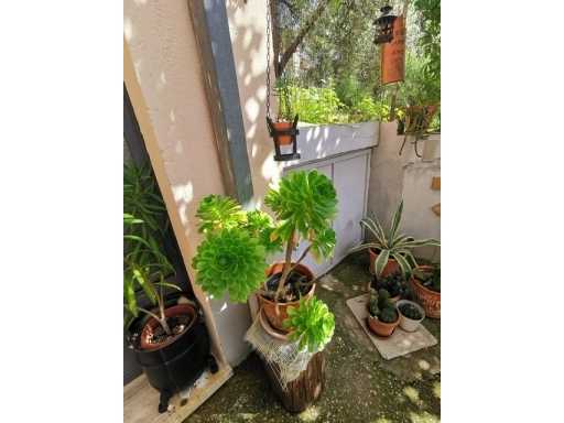  - foto 28
