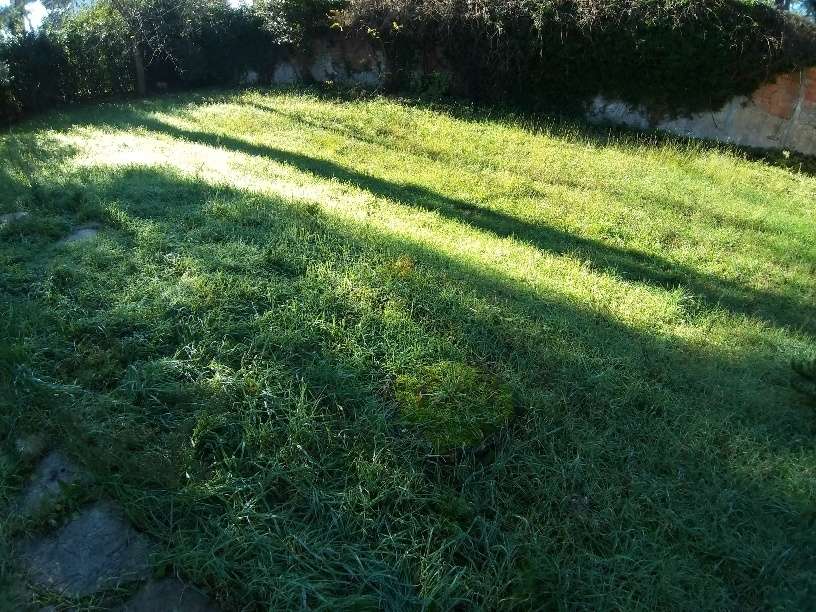  - foto 29